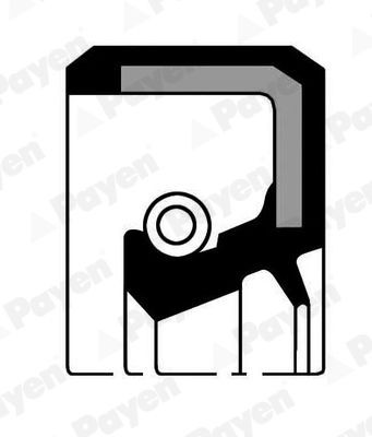 PAYEN Keerring, automatische transmissie NK133 Mercedes-Benz SL Versnellingsbak pakkingset PAYEN NK133