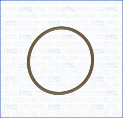 Gasket, fuel pump AJUSA 16091400 AJUSA 16091400 FORD KUGA 2025 fuel pump price