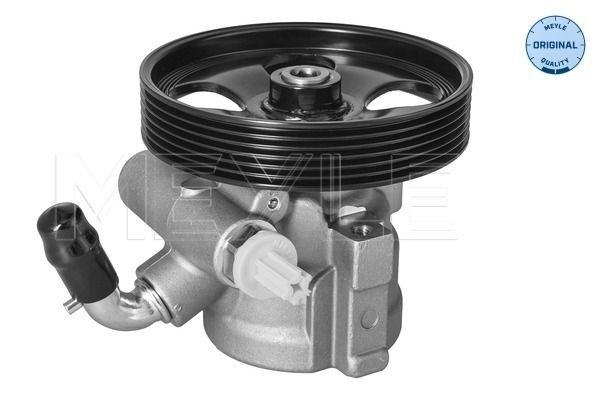 MEYLE Servo čerpadlo 11-14 631 0016 cena Servo čerpadlo Peugeot 4A_, 4C_ 11-14 631 0016 MEYLE