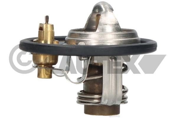 CAUTEX Termostat chladenia 772116 772116 Termostat KIA SEDONA CAUTEX