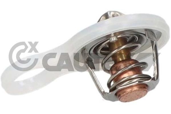 CAUTEX Kühlwasserthermostat 772117 772117 Kühlwasserthermostat ROVER MINI MK I CAUTEX kaufen