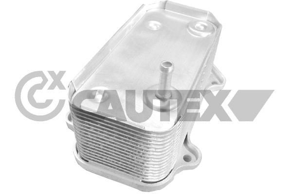 CAUTEX Chladič motorového oleja 772185 Chladič motorového oleja CAUTEX Volkswagen PASSAT 772185