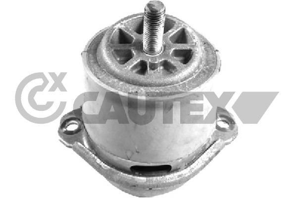 CAUTEX Ulożenie motora 772206 772206 Silentblok motora Volkswagen PASSAT CAUTEX