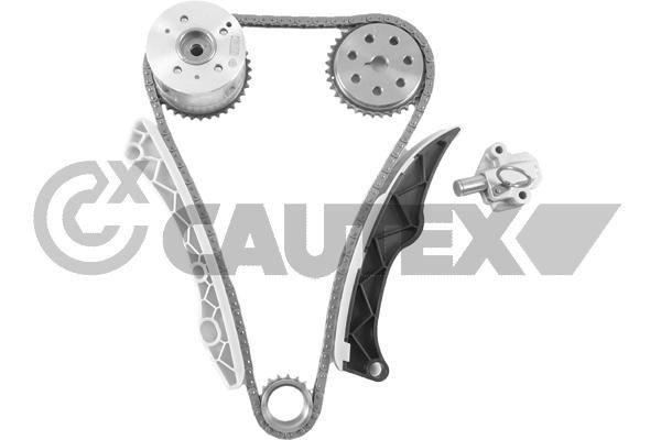 CAUTEX Kit catena distribuzione 772248 772248 costo Catena di distribuzione CAUTEX Volkswagen TRANSPORTER