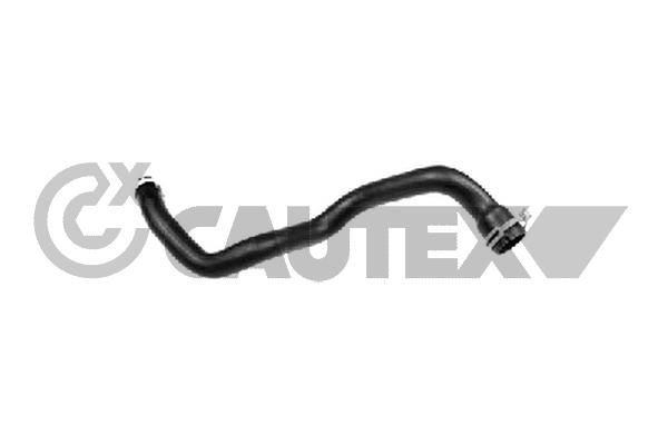 CAUTEX Radiator hose 772342 Ford FIESTA CAUTEX radiator hose 772342