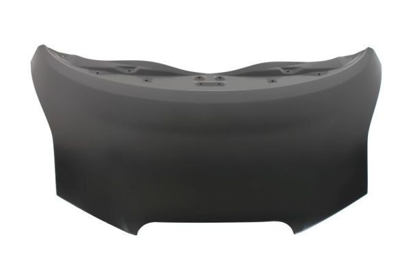 BLIC Capô 6803-00-1602280P BLIC 6803-00-1602280P Capô NISSAN Leaf I (ZE0) a um preço acessível