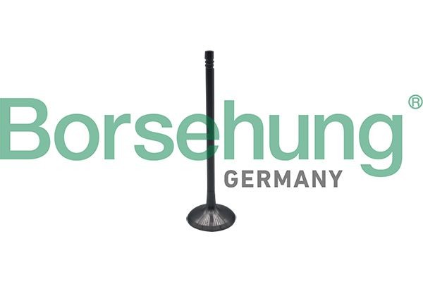 Borsehung Inlaatklep B10323 Borsehung Inlaatklep FIAT B10323