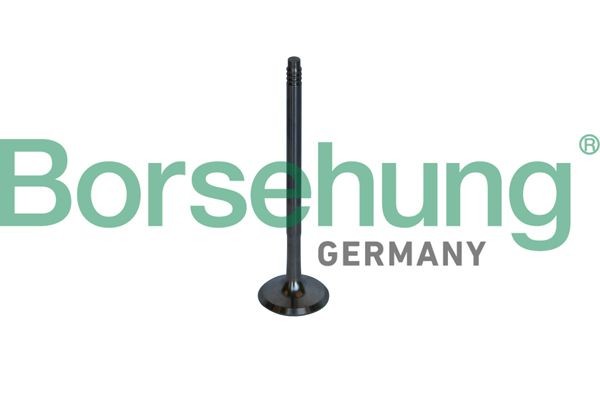 Borsehung Valvola di scarico B10326 prezzo Valvola di scarico BMW E70 B10326 Borsehung