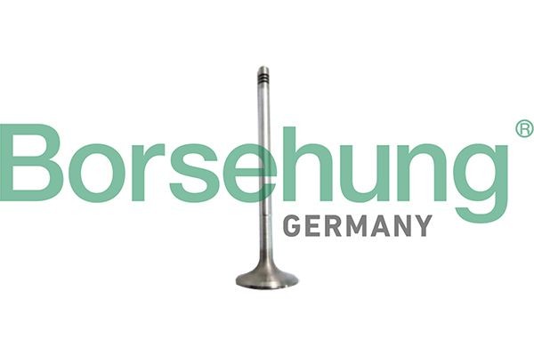 Sisselaskeventiil Borsehung B10327 Borsehung B10327: Sisselaskeklapp Škoda FABIA 2022