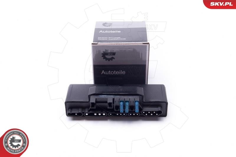ESEN SKV Control Unit Set 96SKV202 ESEN SKV 96SKV202 Control Unit Set