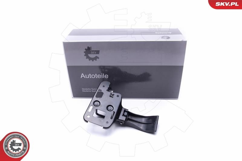 ESEN SKV Vergrendelingsknop 96SKV781 96SKV781 Vergrendelingsknop BMW X1 ESEN SKV