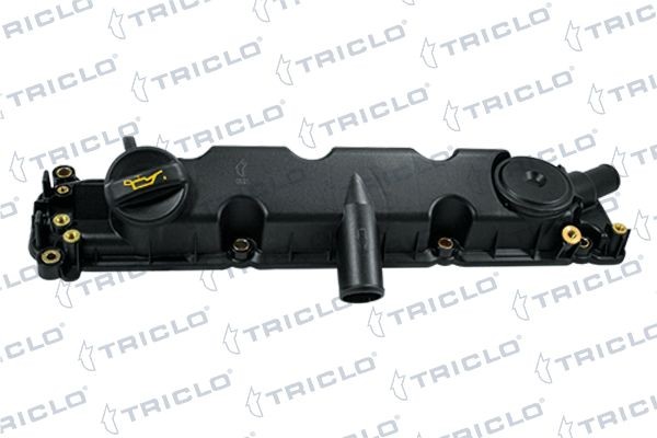 TRICLO Coperchio punterie 390379 390379 Testata TRICLO BMW X5 costo