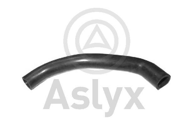Aslyx Flessibile, Scarico aria copritestata AS-203958 AS-203958 Tubo flessibile, scarico aria copritestata CITROËN Aslyx costo