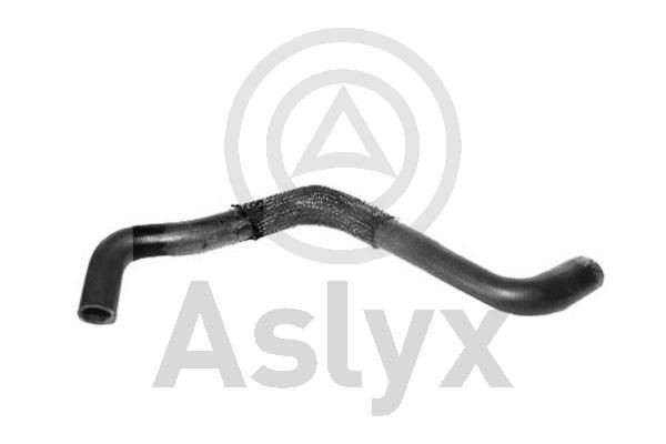 Aslyx Flessibile radiatore AS-204195 AS-204195 Tubi radiatore PEUGEOT 607 Aslyx costo