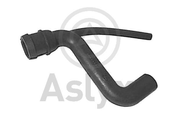 Aslyx Hadica odvetrania veka hlavy valcov AS-204348 AS-204348 Hadica odvetrania kľukovej skrine LAND ROVER RANGE ROVER Aslyx