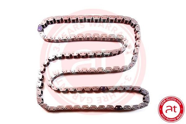 at autoteile germany Kamkedja at10733 at10733 Kamkedjesats at autoteile germany AUDI A5