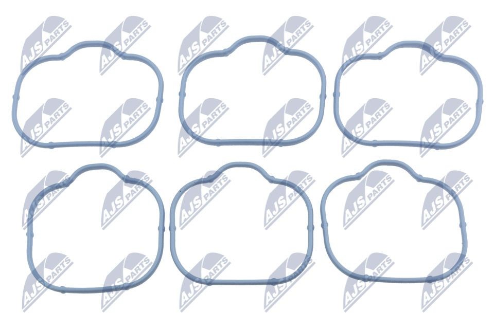 NTY Inlet manifold gasket BKS-CH-003A Volvo S80 NTY inlet manifold gasket BKSCH003A