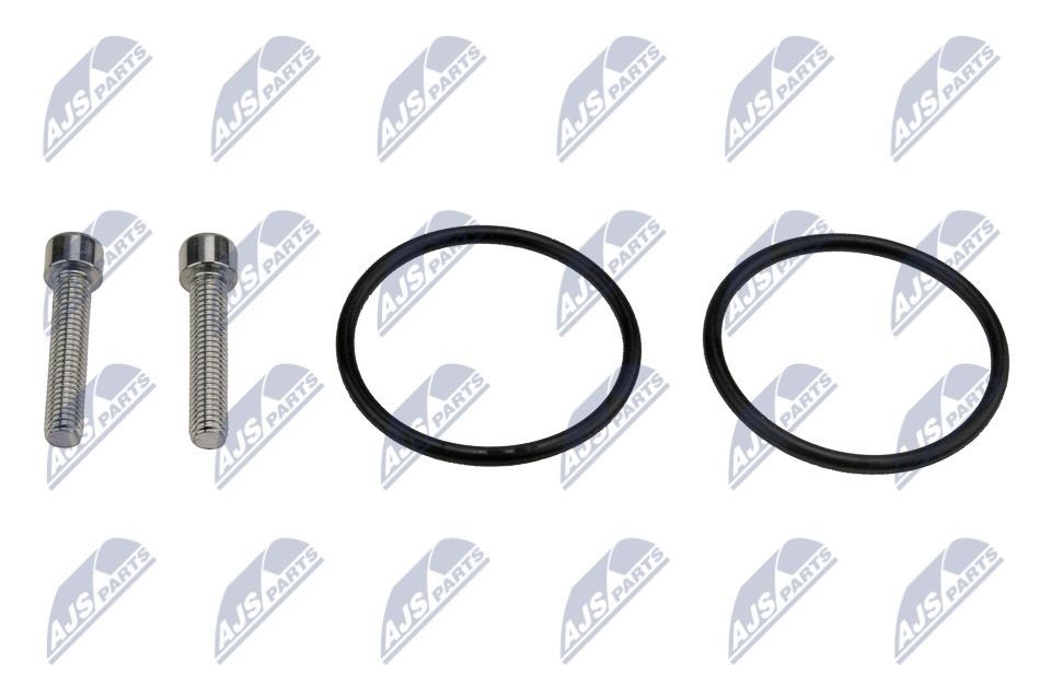 NTY Kit di riparazione, pompa accop. lamellare (4 ruote motrici) EZC-AU-115 NTY EZC-AU-115 costo Kit componenti, cambio olio-cambio automatico VW Caddy 3 Van originale