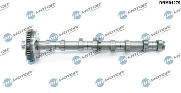 DR.MOTOR AUTOMOTIVE Knastaksel DRM01279 DR.MOTOR AUTOMOTIVE DRM01279 Knastaksel SKODA Kodiaq (NS7) 2.0 TSI 4x4 180 HK 2024