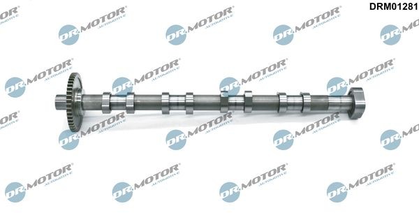 DR.MOTOR AUTOMOTIVE Camshaft DRM01281 DRM01281 DR.MOTOR AUTOMOTIVE cam kit MITSUBISHI