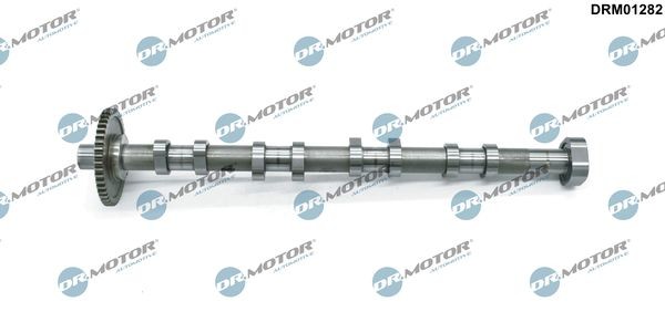 DR.MOTOR AUTOMOTIVE Camshaft DRM01282 DR.MOTOR AUTOMOTIVE DRM01282 Camshaft AUDI TT Roadster (8J9) 2.5 RS quattro 360 hp 2013