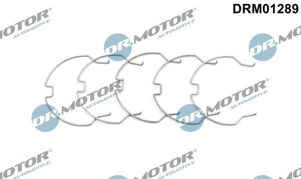 DR.MOTOR AUTOMOTIVE Flessibile aria alimentazione DRM01289 DRM01289 Tubo intercooler DR.MOTOR AUTOMOTIVE DACIA SANDERO costo