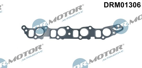 DR.MOTOR AUTOMOTIVE Tetning, innsugningsmanifold DRM01306 Innsugsmanifold pakning DR.MOTOR AUTOMOTIVE Fiat TIPO DRM01306