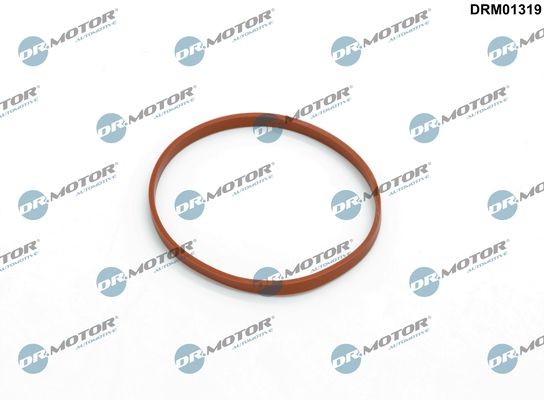 Inlaatspruitstuk pakking DR.MOTOR AUTOMOTIVE DRM01319 DR.MOTOR AUTOMOTIVE DRM01319 Gasklep BMW 5-serie 2022