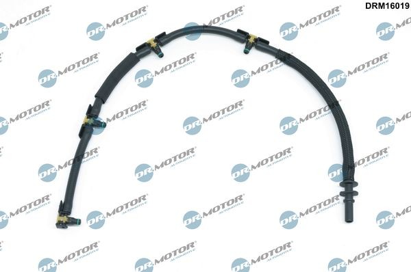 DR.MOTOR AUTOMOTIVE Slange DRM16019 Fuel rail DR.MOTOR AUTOMOTIVE Citroën BX DRM16019