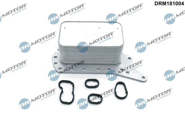 DR.MOTOR AUTOMOTIVE Oljekjøler, motorolje DRM181004 DRM181004 Oljekjøler RENAULT LAGUNA DR.MOTOR AUTOMOTIVE