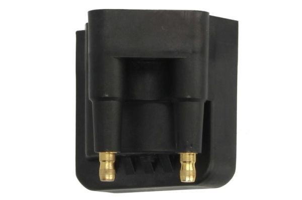ENGITECH Zündspule ENT960069 ENGITECH ENT960069 Zündspulen PONTIAC Montana II Kosten