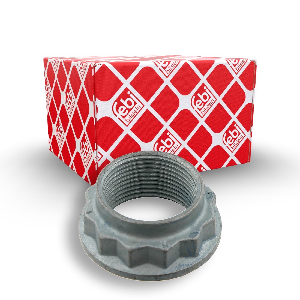 FEBI BILSTEIN Dado, Fuso dell'asse 01841 FEBI BILSTEIN 01841 Dado, fuso dell'asse DACIA originale prezzo