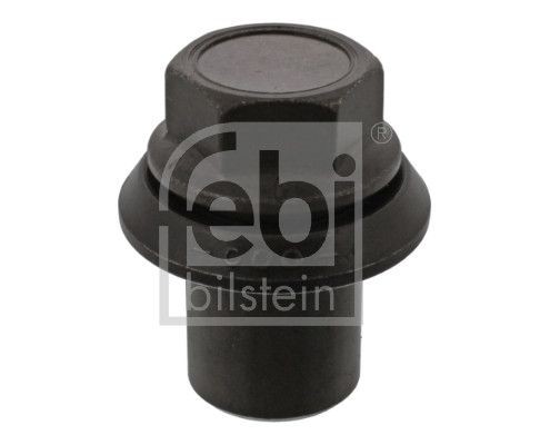 FEBI BILSTEIN Radmutter 07974 07974 FEBI BILSTEIN Radmuttern Daily VI Pritsche/Fahrgestell Kosten