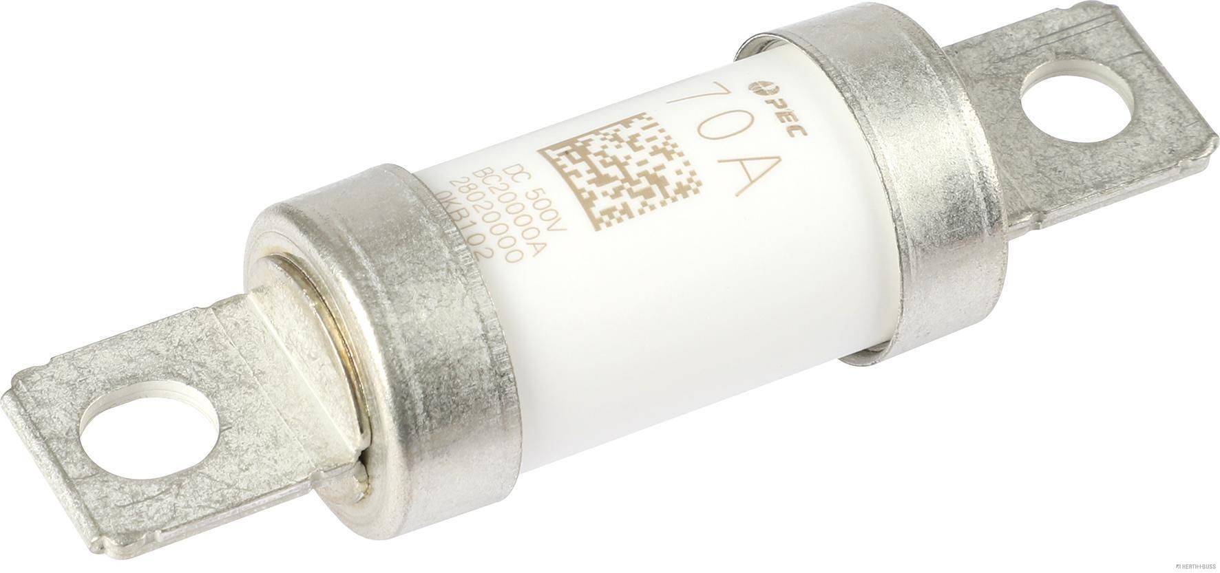 HERTH+BUSS ELPARTS Zekering 50296001 50296001 Zekering HERTH+BUSS ELPARTS RENAULT 21