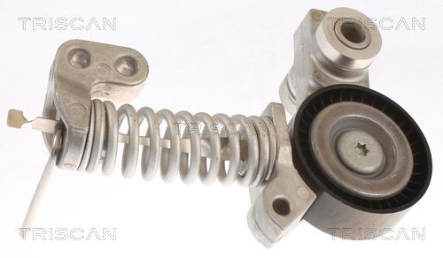 TRISCAN Spannrolle, Keilrippenriemen 8641 101014 8641 101014 TRISCAN Spannrolle Keilrippenriemen Erfahrung