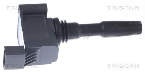 TRISCAN Zapaľovacia cievka 8860 29065 8860 29065 Jednotka zapaľovacích cievok RENAULT KANGOO TRISCAN