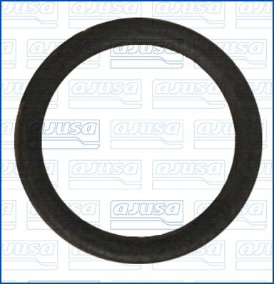 AJUSA Dichtring, koelvloeistofleiding 01276300 AJUSA 01276300 Dichtring, koelvloeistofleiding FORD Galaxy Mk2 (WA6) MPV 2.0 145 Pk 2008