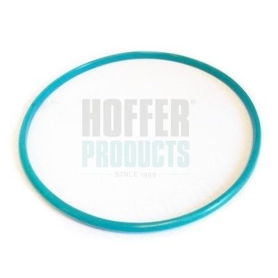 HOFFER Pakking, brandstofoverdrager GSK01 GSK01 Pakking, brandstofoverdrager FORD FIESTA HOFFER