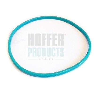 HOFFER Guarnizione, Sensore livello carburante GSK03 GSK03 Guarnizione, sensore livello carburante HOFFER FORD FOCUS costo