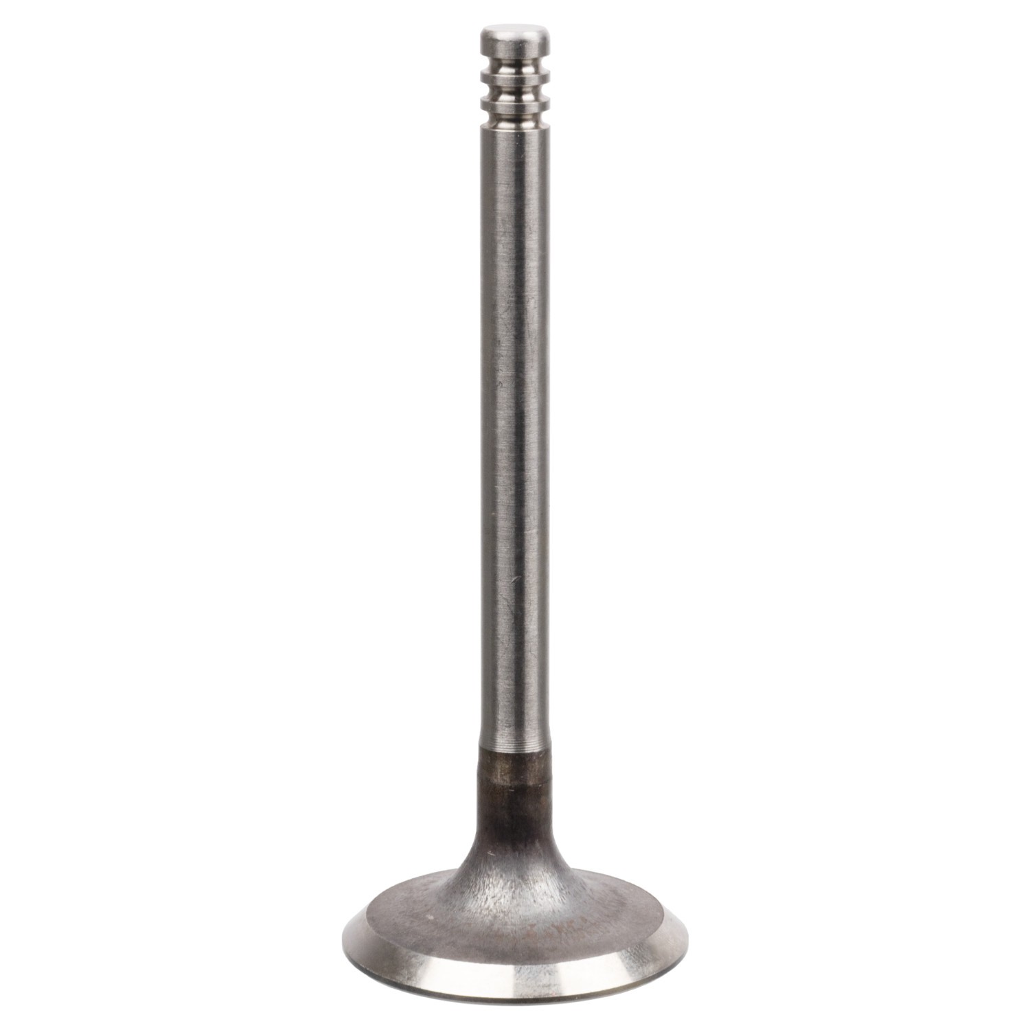 FEBI BILSTEIN Βαλβίδα εισαγωγής 21210 Βαλβίδα εισαγωγής FEBI BILSTEIN Volkswagen TOURAN 21210