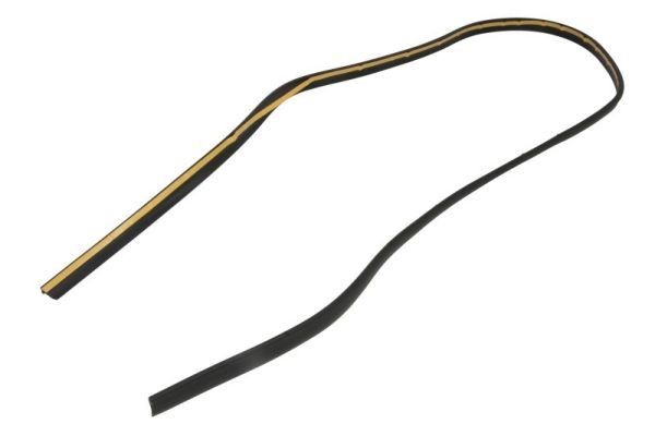 BLIC Guarnizione, Parabrezza 5703-04-0093100P 5703-04-0093100P Guarnizioni vetro BMW BLIC costo
