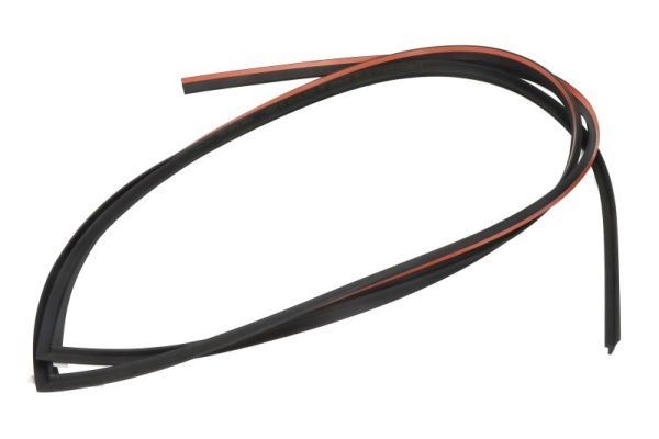 BLIC Guarnizione, Parabrezza 5703-04-8118101P 5703-04-8118101P BLIC Guarnizioni parabrezza BMW prezzo