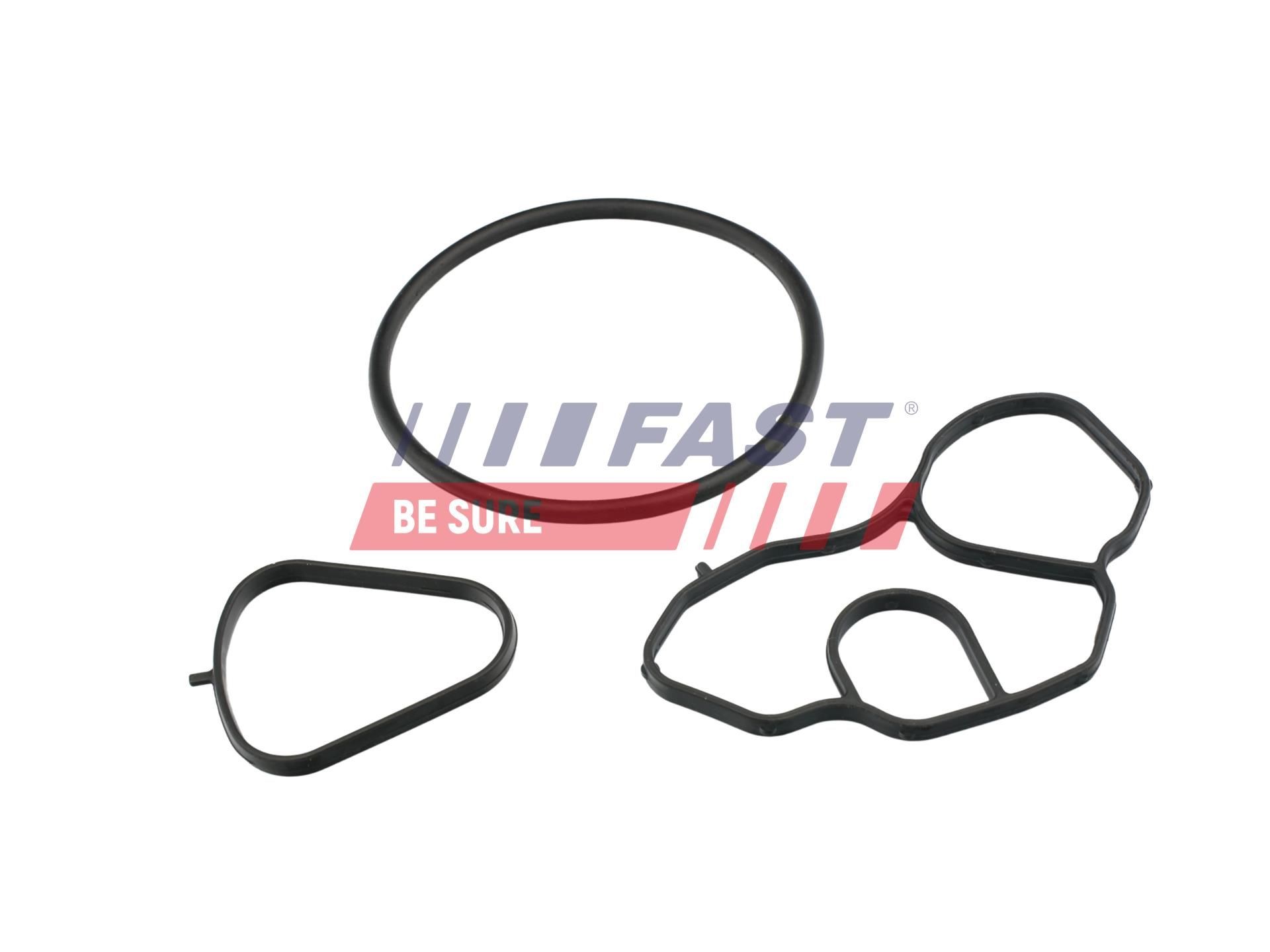 FAST Packningssats, oljekylare FT48936 Byta Packning oljekylare MINI Cooper (F65, F66) kostnad FAST FT48936