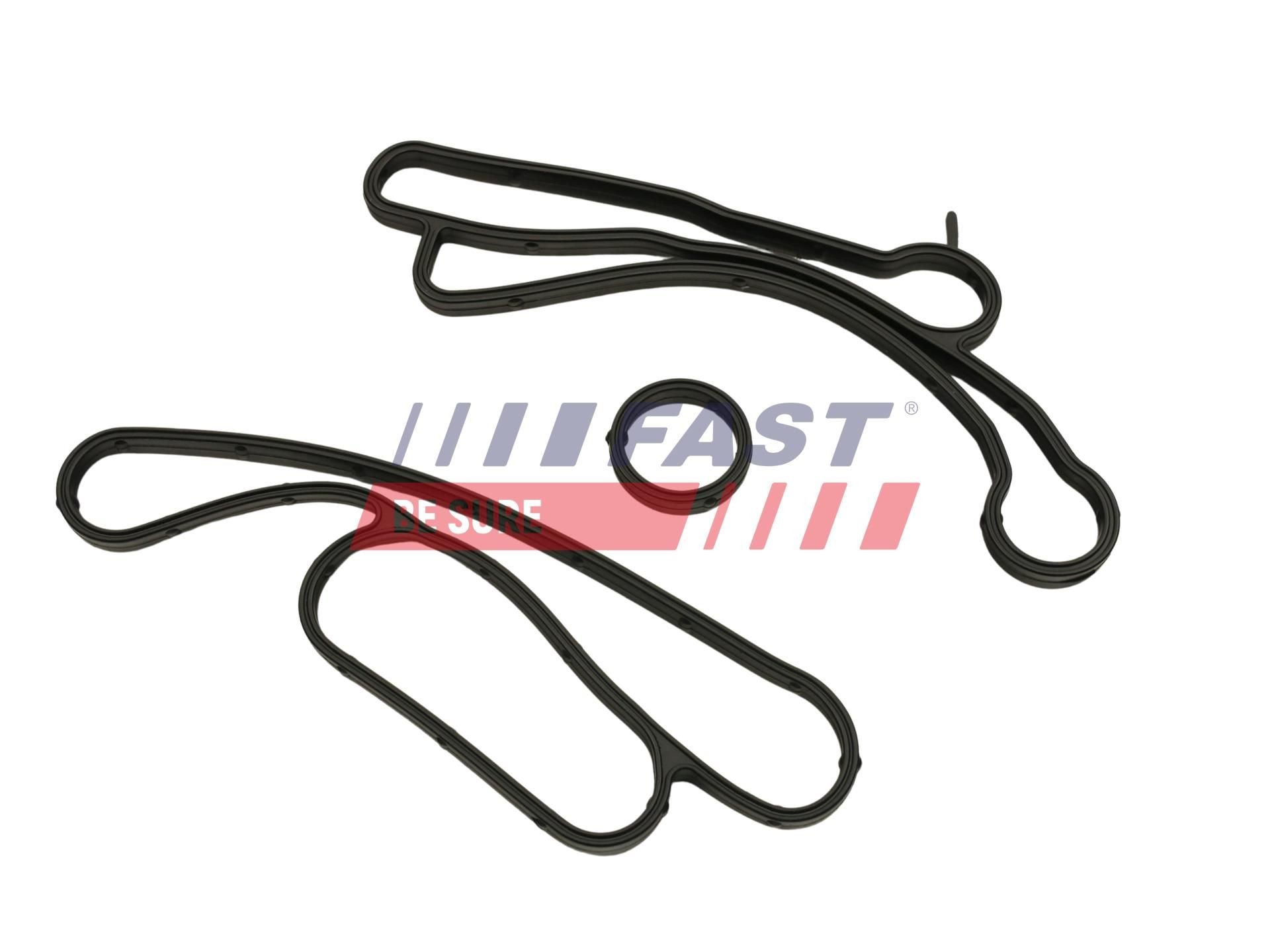 FAST Oil cooler gasket FT48938 FAST FT48938 LAND ROVER Range Rover V (L460) oil cooler gasket replacement