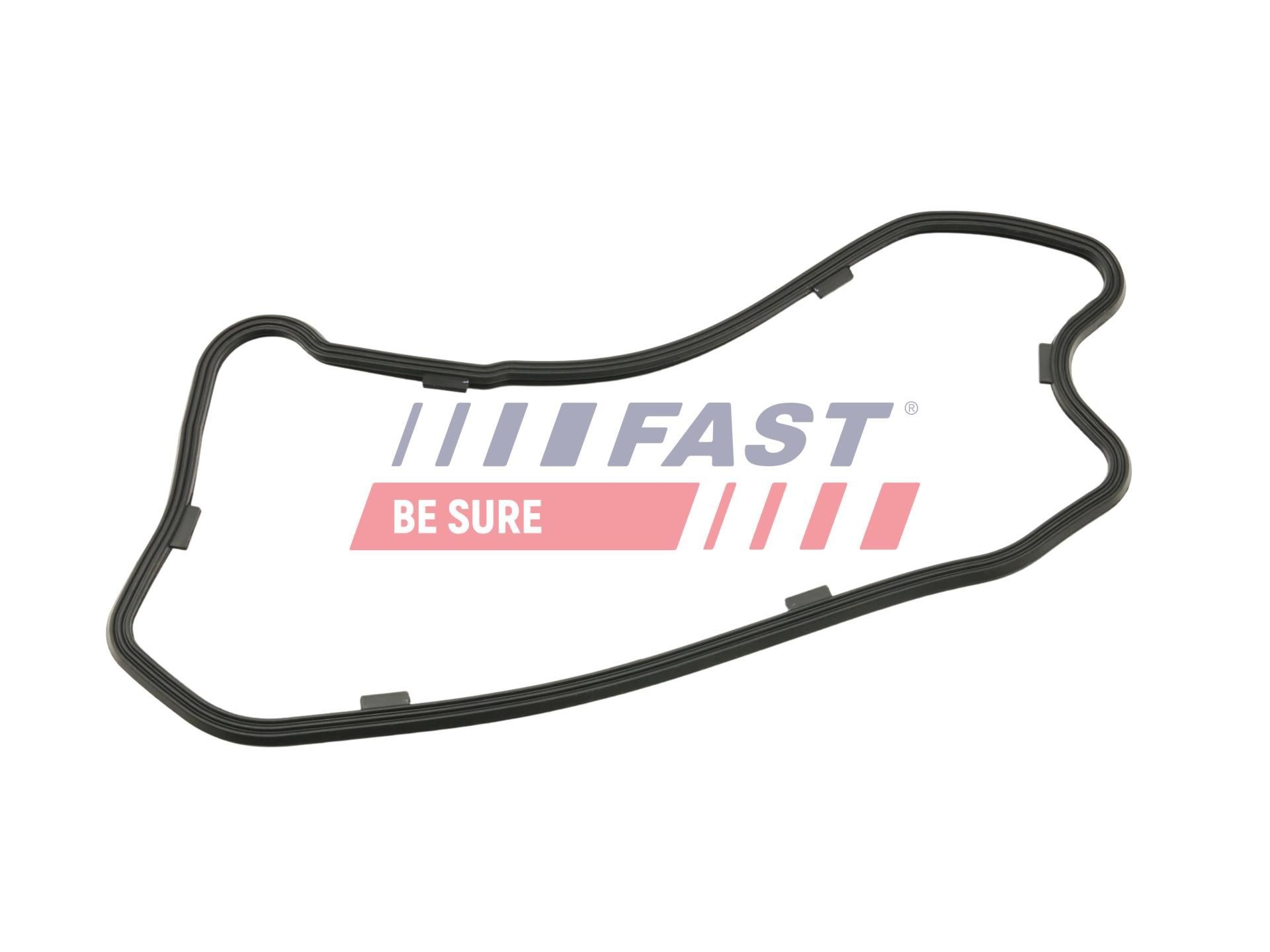 FAST Tetning, bunnpanne FT49208 FT49208 Bunnpannepakning FORD FOCUS FAST