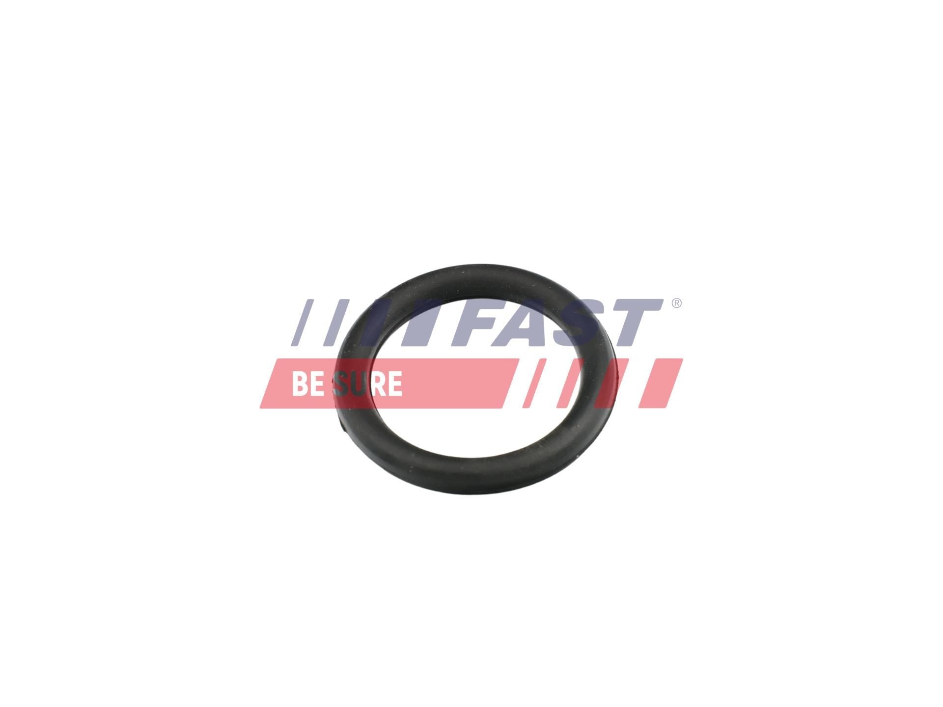 FAST Pakning, indsugningsmanifold FT49420 Indsugningsmanifold pakning FAST FOCUS FT49420 billig