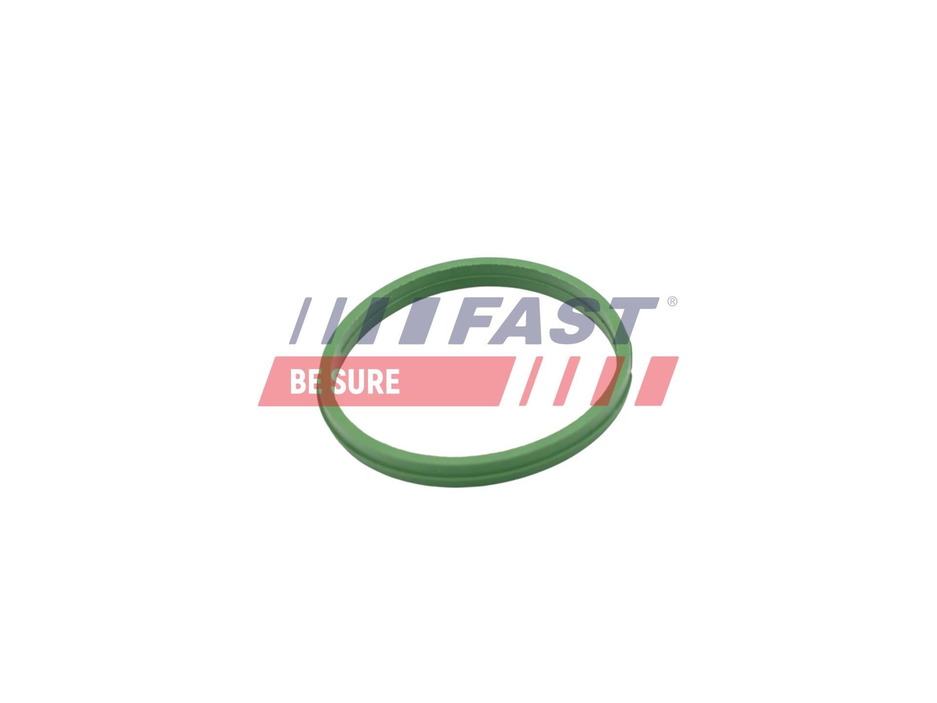 FAST Anello di tenuta, vite di scarico olio FT49855 FT49855 costo Guarnizione tappo coppa olio FAST FORD TRANSIT