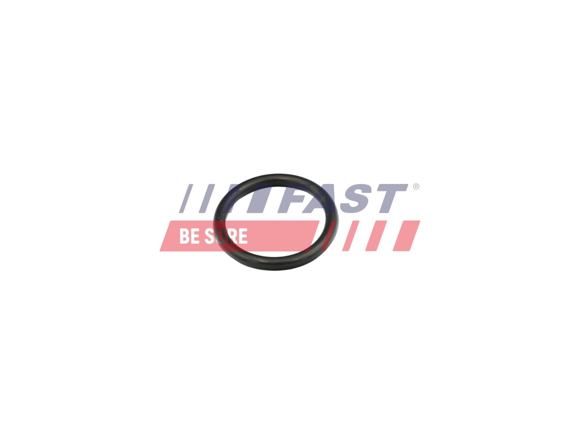 FAST Guarnizione, Flangia refrigerante FT49856 FAST FT49856 Guarnizione, flangia refrigerante Volvo 240 Sedan prezzo