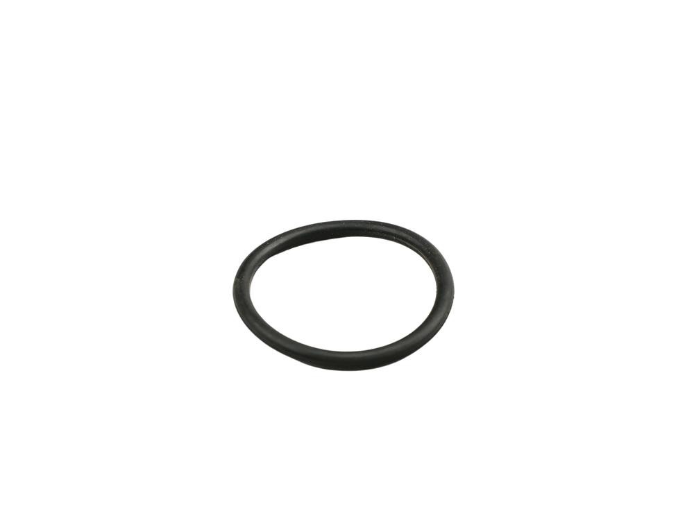 FAST Dichtring, Kühlmittelrohrleitung FT49919 FAST FT49919 Dichtring, Kühlmittelrohrleitung MERCEDES-BENZ SL Cabrio (R129) 600 (129.076) 394 PS 1993