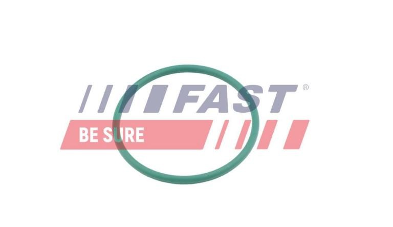 FAST Στεγανοποιητικός δακτύλιος, ελαστικός σωλήνας αέρα υπερπλήρ. FT49921 FT49921 Στεγανοποιητικός δακτύλιος, ελαστικός σωλήνας αέρα υπερπλήρ. Volkswagen BEETLE FAST